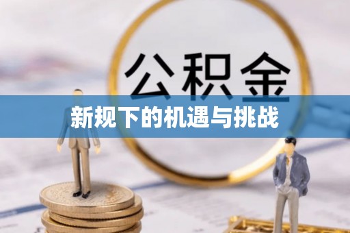 定边新规下的机遇与挑战