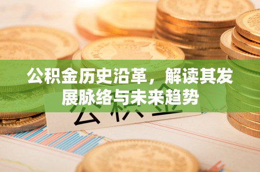 定边公积金历史沿革，解读其发展脉络与未来趋势