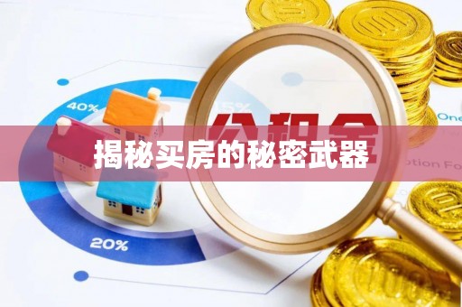 定边揭秘买房的秘密武器