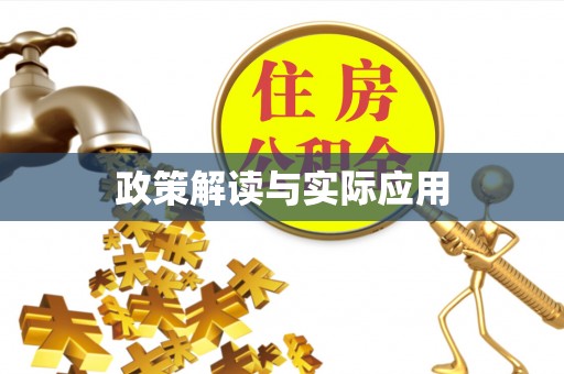 定边政策解读与实际应用