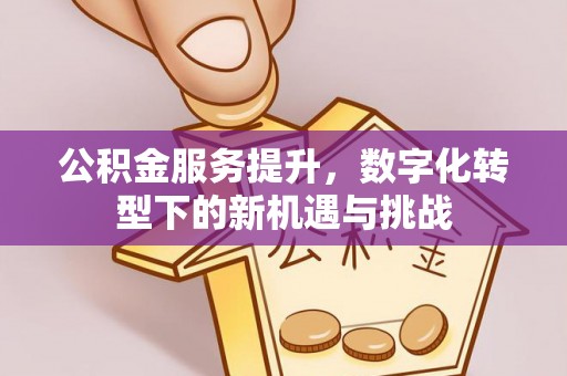 定边公积金服务提升，数字化转型下的新机遇与挑战