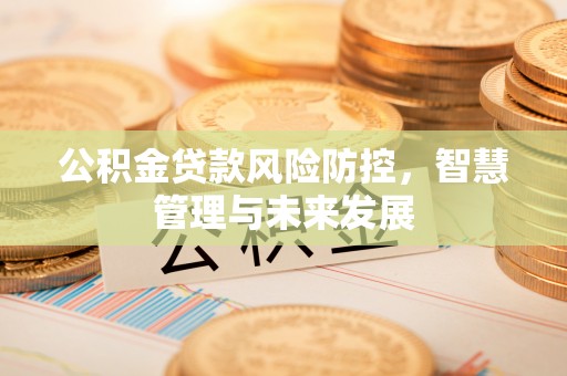 定边公积金贷款风险防控，智慧管理与未来发展
