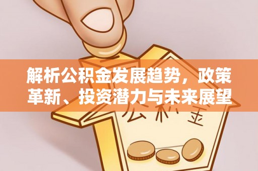 定边解析公积金发展趋势，政策革新、投资潜力与未来展望