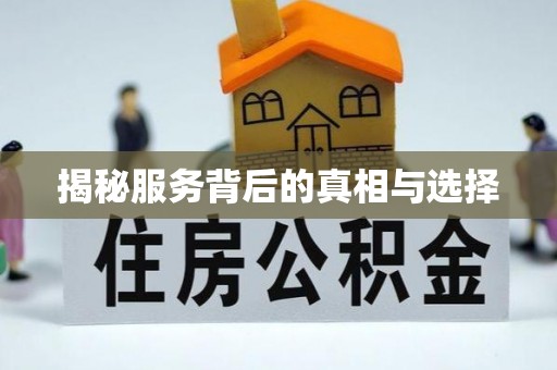 定边揭秘服务背后的真相与选择