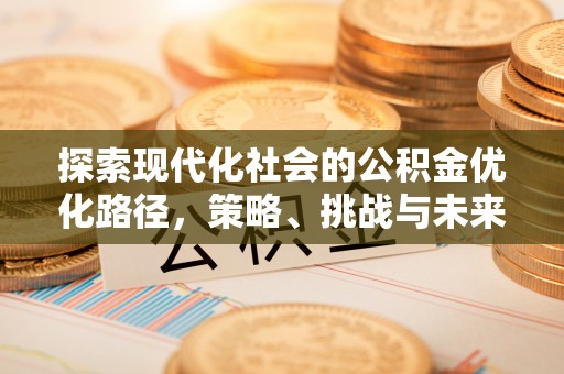 定边探索现代化社会的公积金优化路径，策略、挑战与未来展望