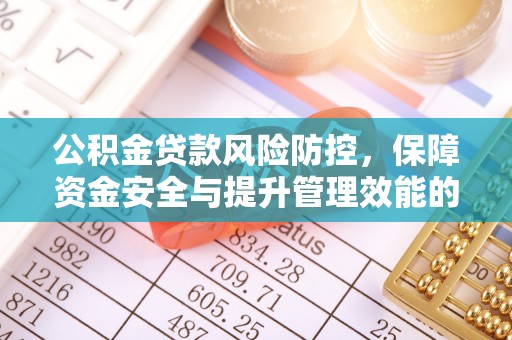 定边公积金贷款风险防控，保障资金安全与提升管理效能的多维度探索