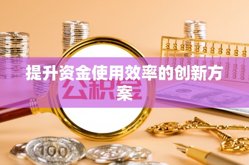 定边提升资金使用效率的创新方案