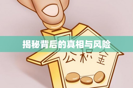 定边揭秘背后的真相与风险