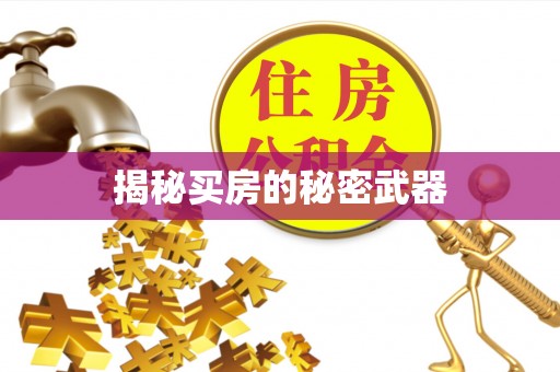 定边揭秘买房的秘密武器