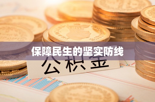 定边保障民生的坚实防线