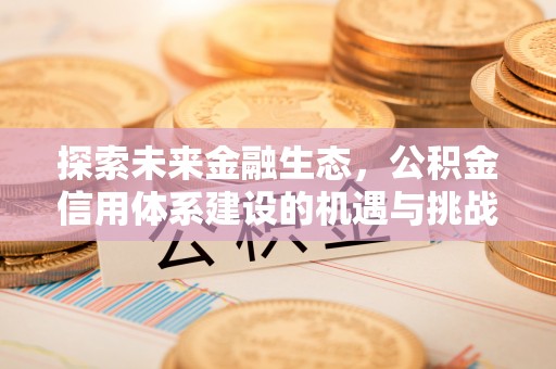 定边探索未来金融生态，公积金信用体系建设的机遇与挑战
