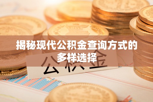 定边揭秘现代公积金查询方式的多样选择