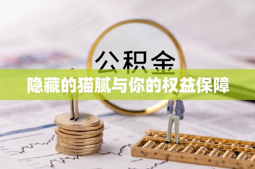 定边隐藏的猫腻与你的权益保障