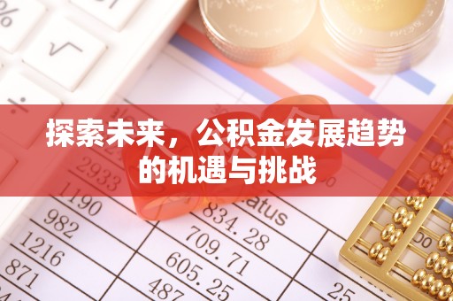 定边探索未来，公积金发展趋势的机遇与挑战