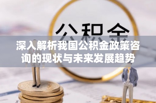 定边深入解析我国公积金政策咨询的现状与未来发展趋势