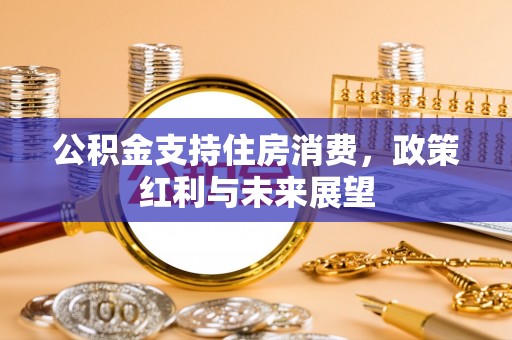 定边公积金支持住房消费，政策红利与未来展望