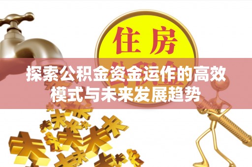 定边探索公积金资金运作的高效模式与未来发展趋势