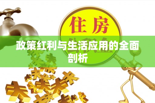 定边政策红利与生活应用的全面剖析