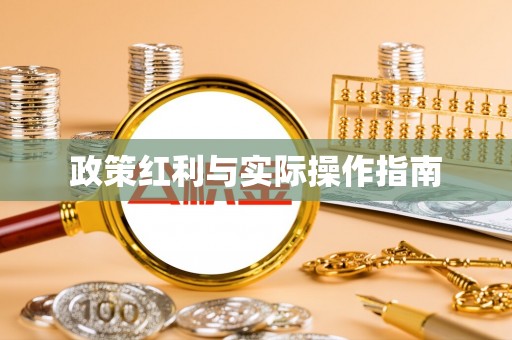 定边政策红利与实际操作指南