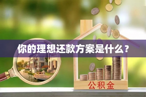 定边你的理想还款方案是什么？