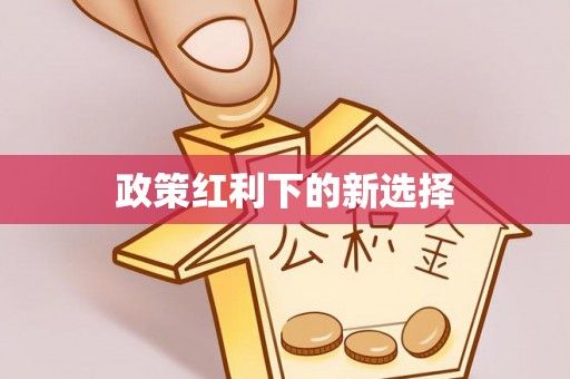 定边政策红利下的新选择
