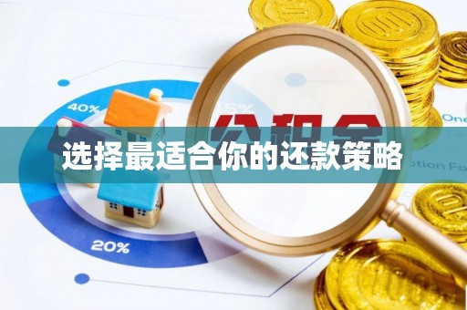 定边选择最适合你的还款策略