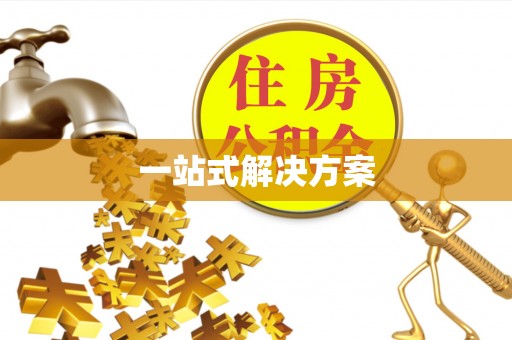 定边一站式解决方案